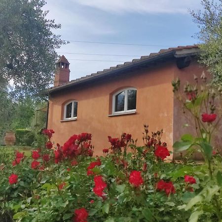 La Casa Delle Rose Villa Terranuova Bracciolini Exterior photo