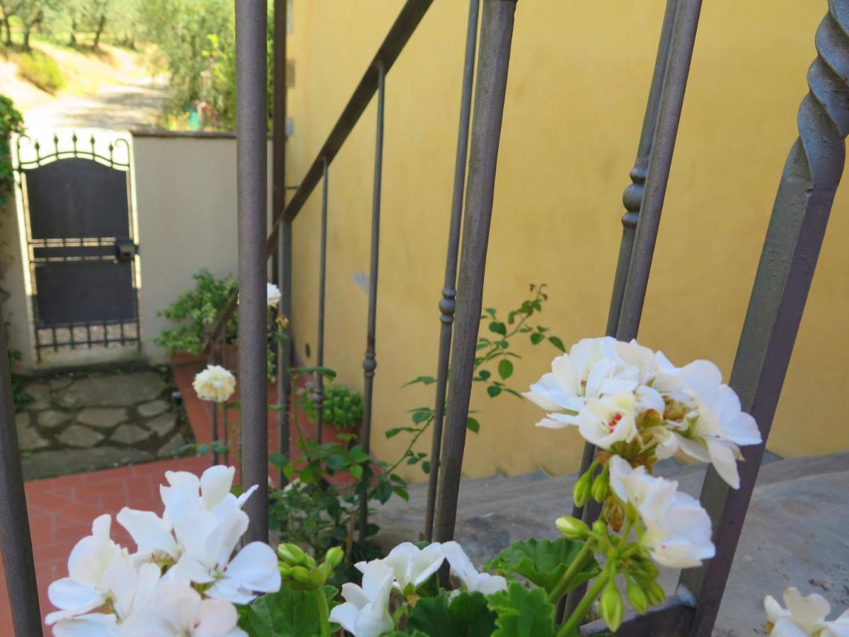 La Casa Delle Rose Villa Terranuova Bracciolini Exterior photo